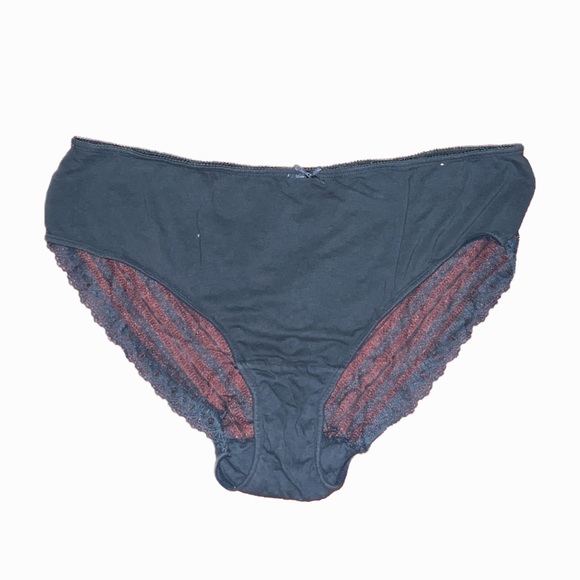 Cacique Intimates & Sleepwear Cacique Lace Brief Panties Poshmark